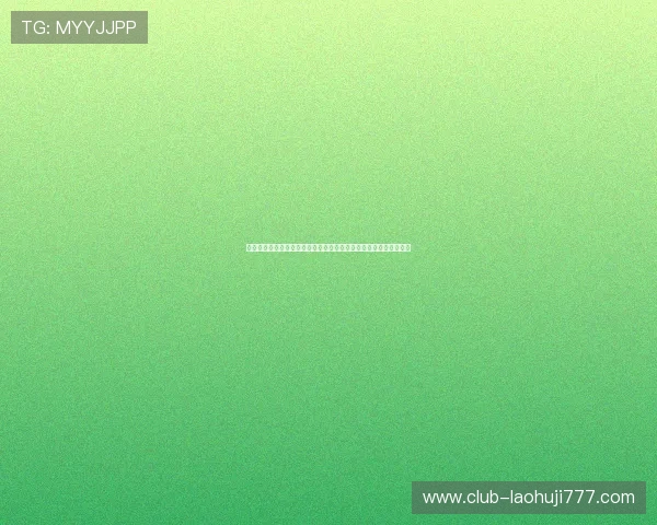 瑞士与波黑中场对抗战术分析：双方中场核心的战术布置与执行效果